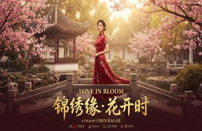 草莓视频精选视频 - 都市情缘